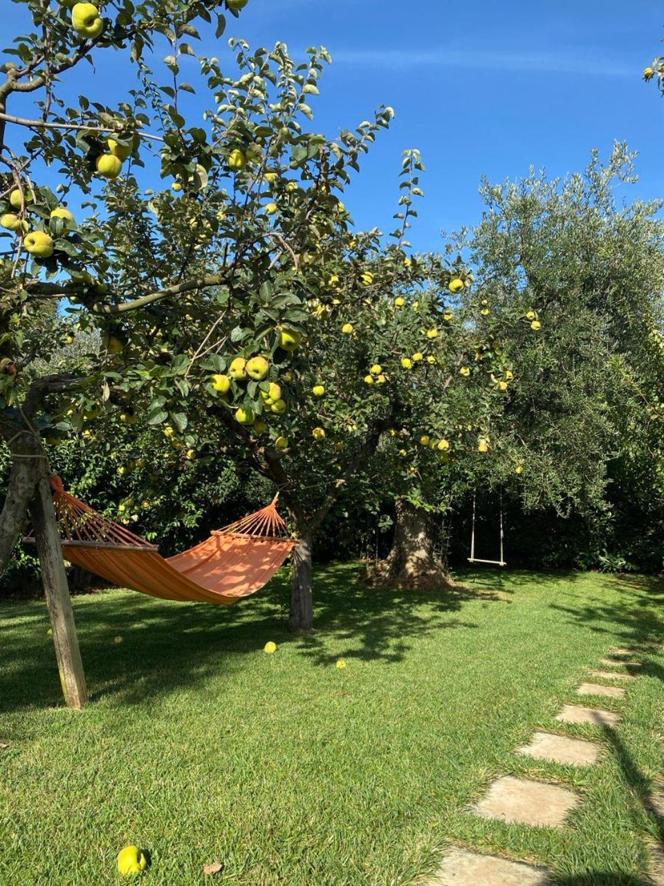 Il Trullo Del Lazzeruolo Villa Santa Lucia  Buitenkant foto