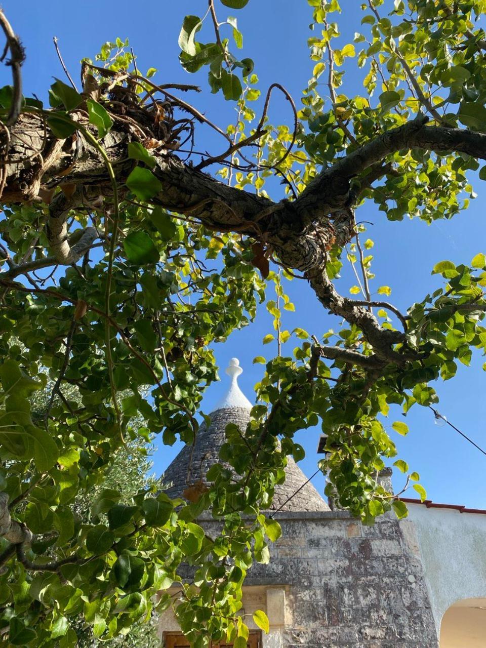 Il Trullo Del Lazzeruolo Villa Santa Lucia  Buitenkant foto